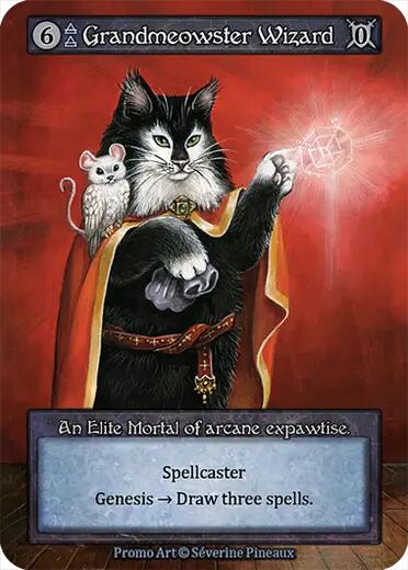 Grandmeowster Wizard